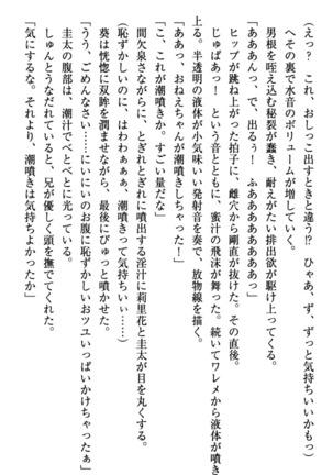 甘えんぼツンな生徒会長と巨乳小悪魔のW妹が俺を婿取りバトル中 - Page 301