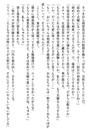 甘えんぼツンな生徒会長と巨乳小悪魔のW妹が俺を婿取りバトル中 - Page 288