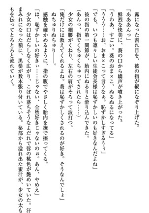 甘えんぼツンな生徒会長と巨乳小悪魔のW妹が俺を婿取りバトル中 - Page 31