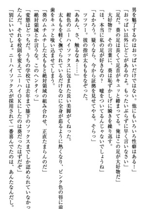 甘えんぼツンな生徒会長と巨乳小悪魔のW妹が俺を婿取りバトル中 - Page 29