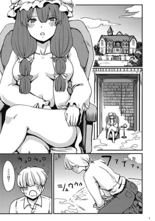 Zannen Patchouli no Ukkari Shoukanjutsu Page #2