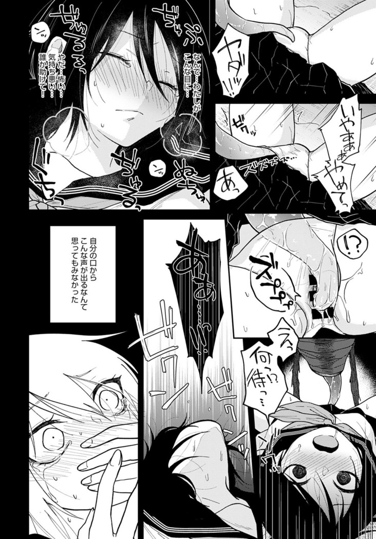 COMIC Anthurium 2021-12