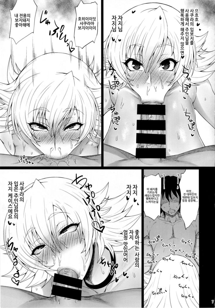 Buta Yome Sakura-chan