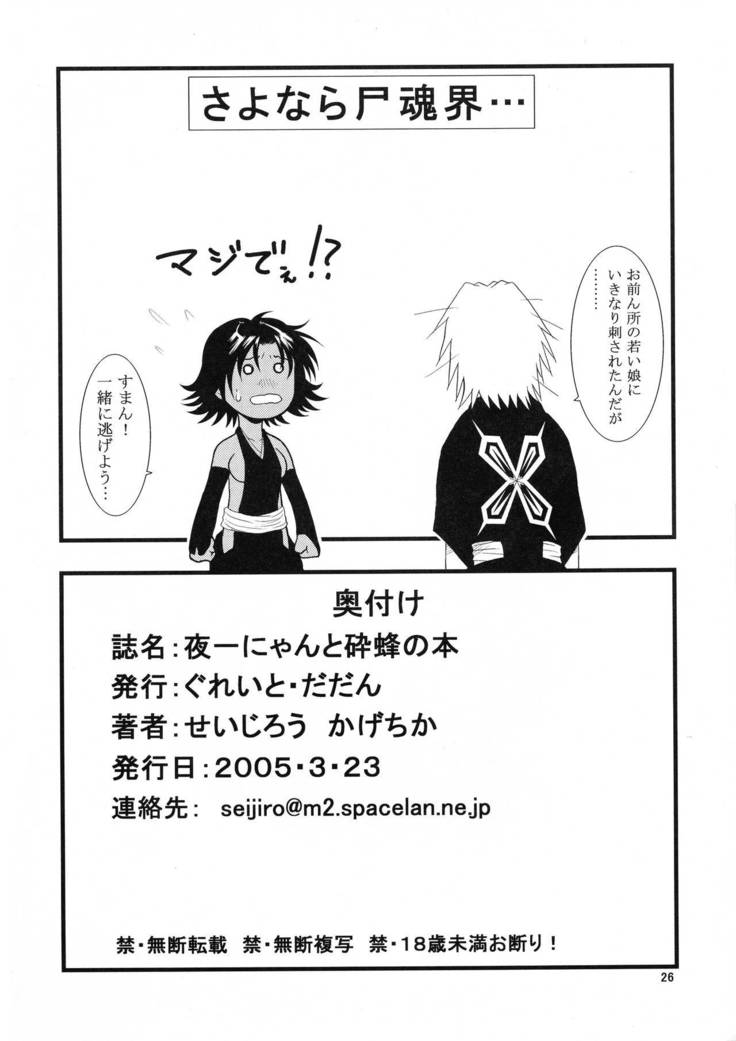 Yoruichi Nyan to Soi Fon no Hon
