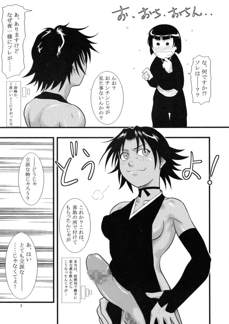 Yoruichi Nyan to Soi Fon no Hon