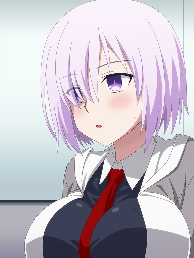 Akogare no Anoko wa Boku no Chinkasu Soujiki - 13