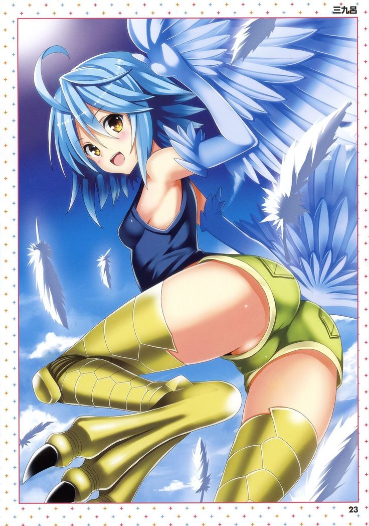 Monster Musume no Iru Nichijou -Everyday Life with Monster Girls- ANOTHER CREATOR VISUAL FAN BOOK