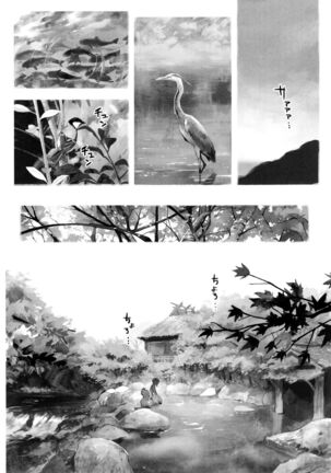 Image 11986479