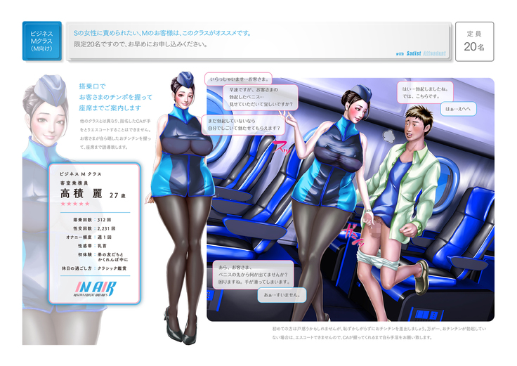 Shin Waritaka Koukuu Inseibi Airline 2020