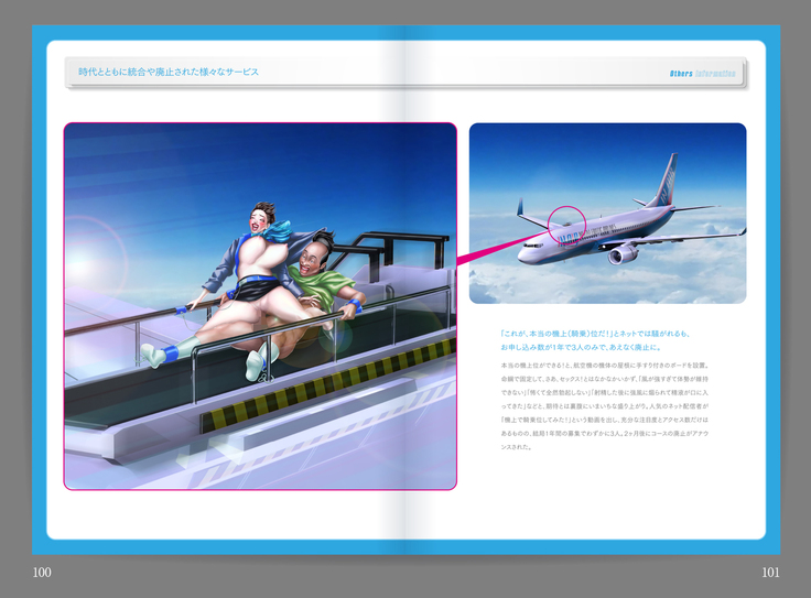 Shin Waritaka Koukuu Inseibi Airline 2020