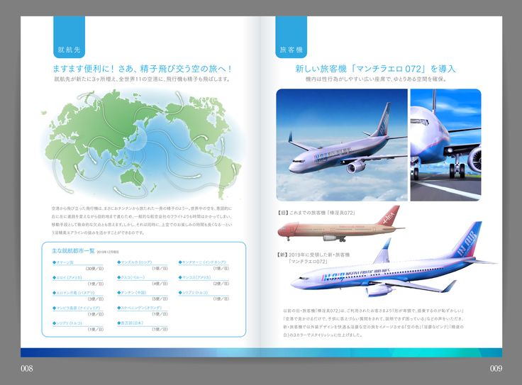 Shin Waritaka Koukuu Inseibi Airline 2020