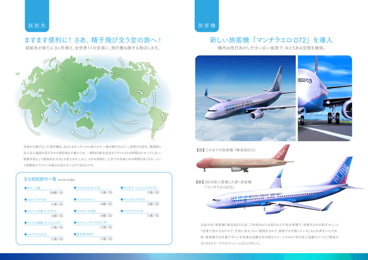 Shin Waritaka Koukuu Inseibi Airline 2020