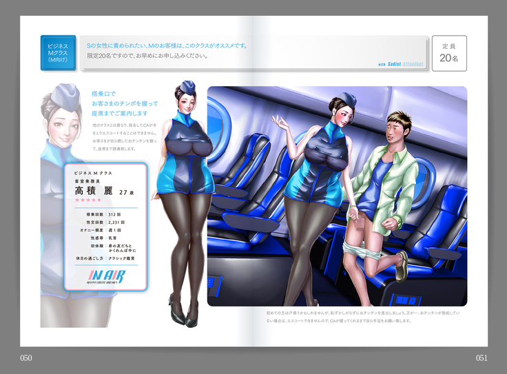 Shin Waritaka Koukuu Inseibi Airline 2020