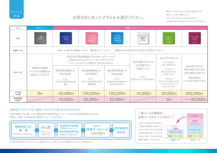 Shin Waritaka Koukuu Inseibi Airline 2020