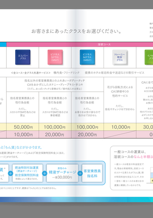 Shin Waritaka Koukuu Inseibi Airline 2020