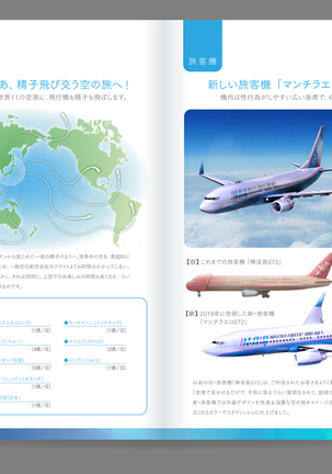 Shin Waritaka Koukuu Inseibi Airline 2020 Page #5