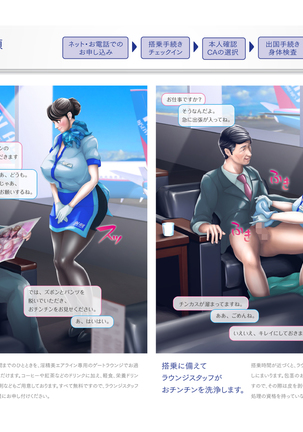 Shin Waritaka Koukuu Inseibi Airline 2020 Page #66