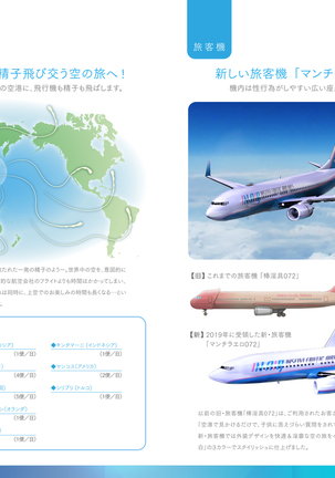 Shin Waritaka Koukuu Inseibi Airline 2020 - Page 59