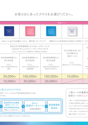 Shin Waritaka Koukuu Inseibi Airline 2020 - Page 61