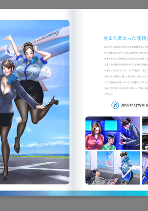 Shin Waritaka Koukuu Inseibi Airline 2020 Page #2