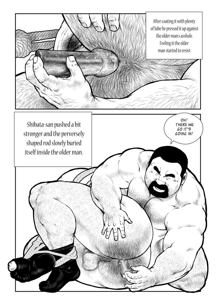 Shibata-san and the Taunki