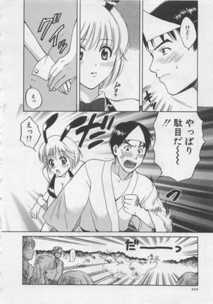 Hotaru no Sumu Kawa - Page 211