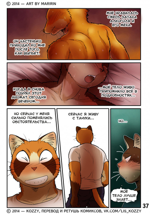 Neko x Neko 2 - Fox and Cat / «Лис и кот» - Page 38