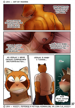 Neko x Neko 2 - Fox and Cat / «Лис и кот» Page #38