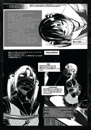 美少女捕縛本 - Page 11