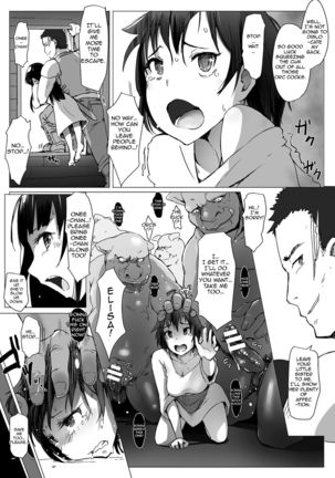 Yamaneko Kishidan Monogatari Onna Kishi Irina Dainiwa | The Tale of the Wildcat Chivalric Order's Knight Irina, Second Story Page #28
