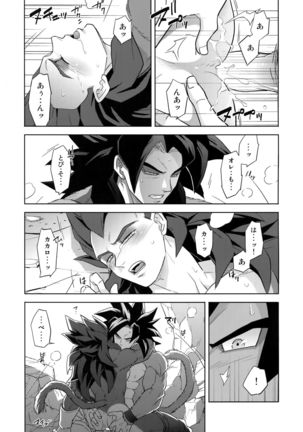 Saiai 2015 Page #15