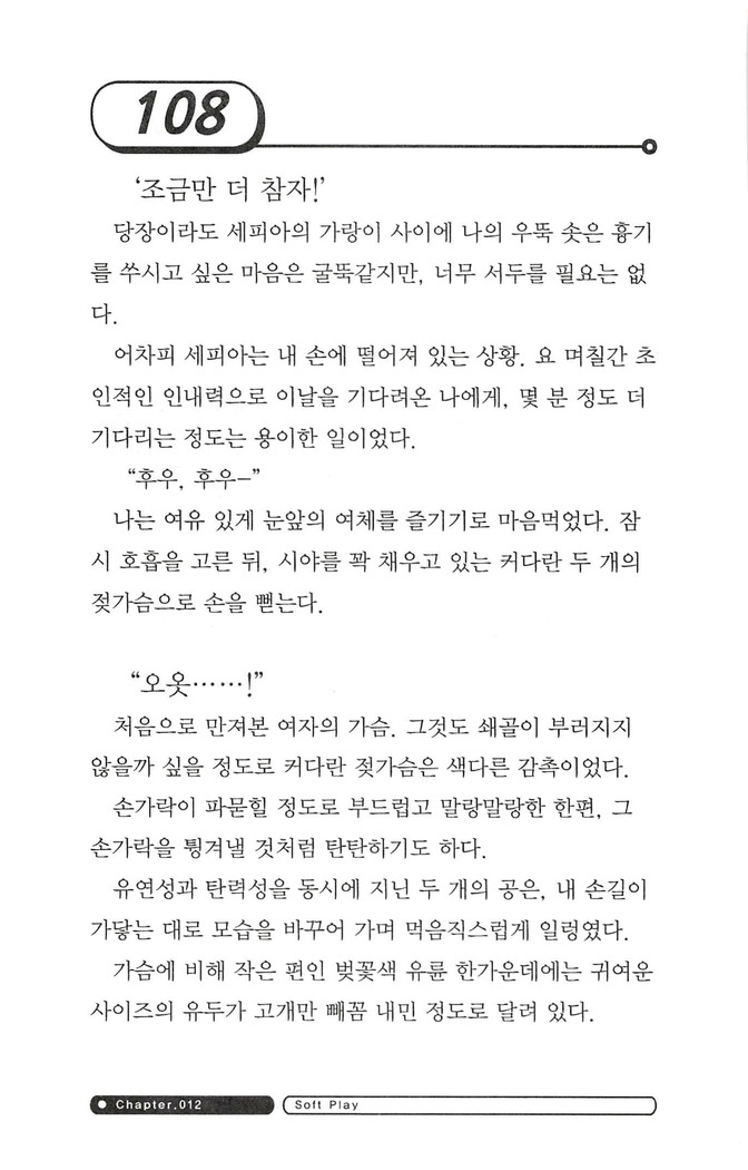 최면게임 - 타락하는 공주기사