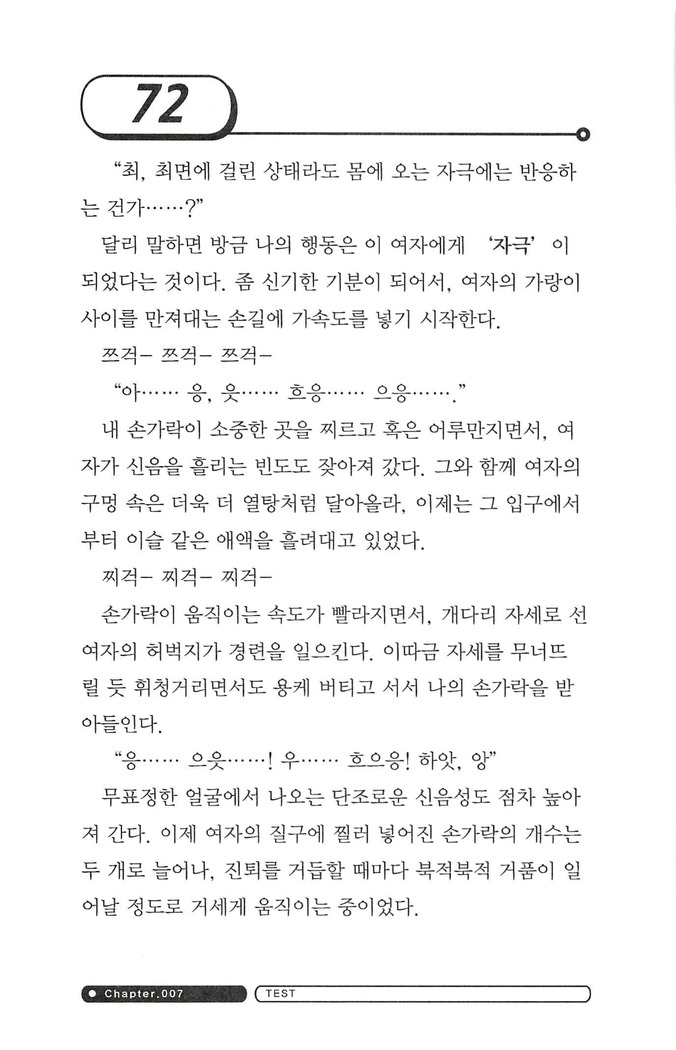 최면게임 - 타락하는 공주기사