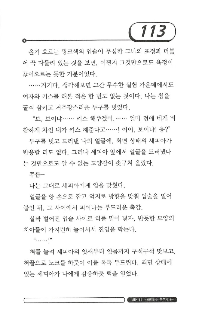 최면게임 - 타락하는 공주기사