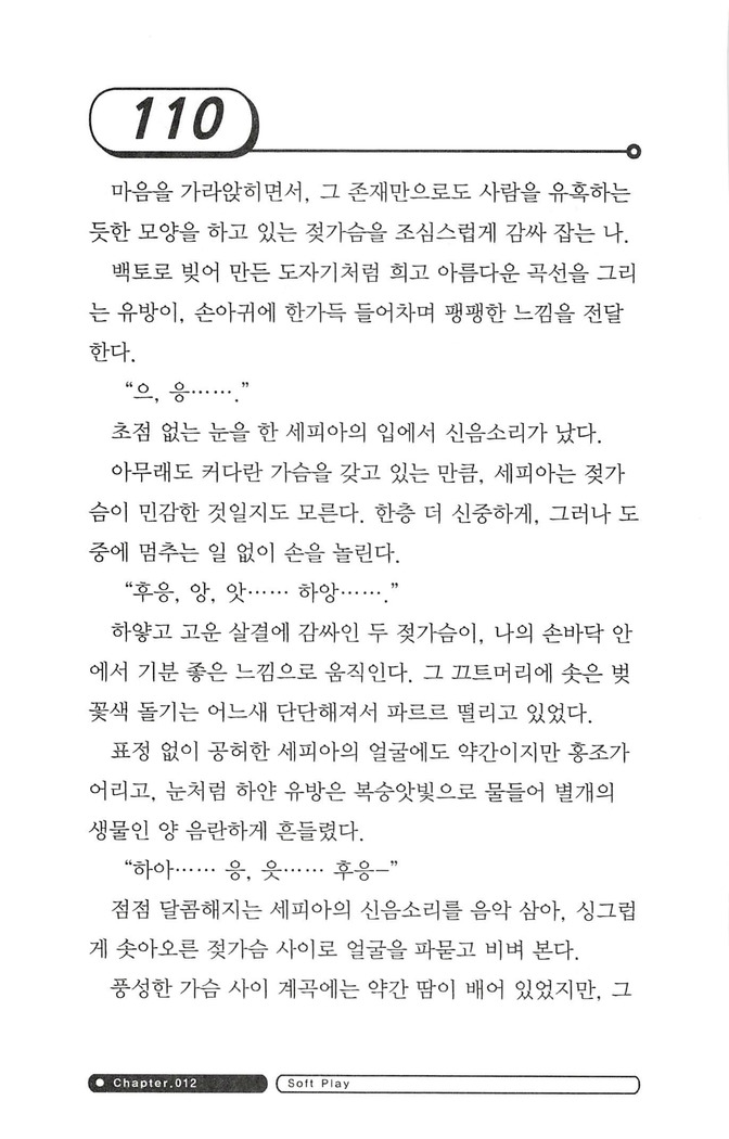 최면게임 - 타락하는 공주기사