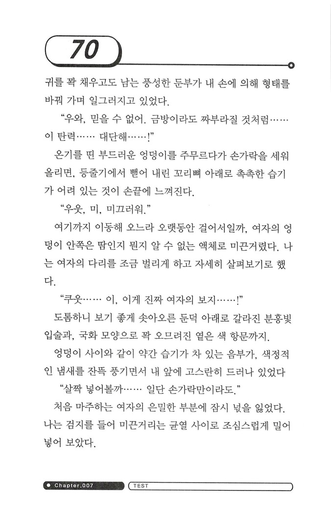 최면게임 - 타락하는 공주기사