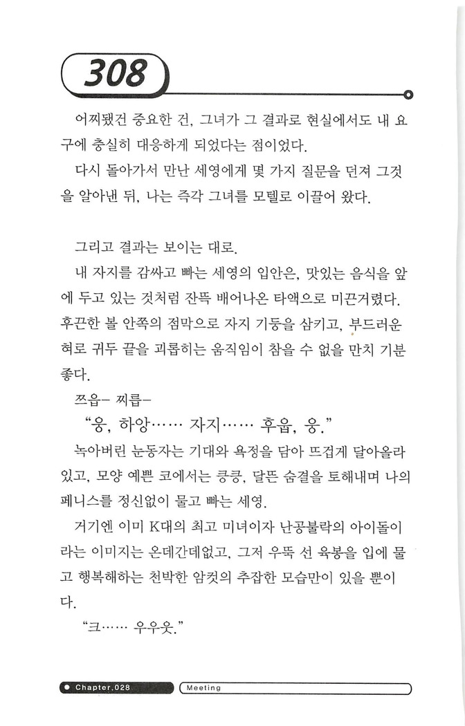 최면게임 - 타락하는 공주기사