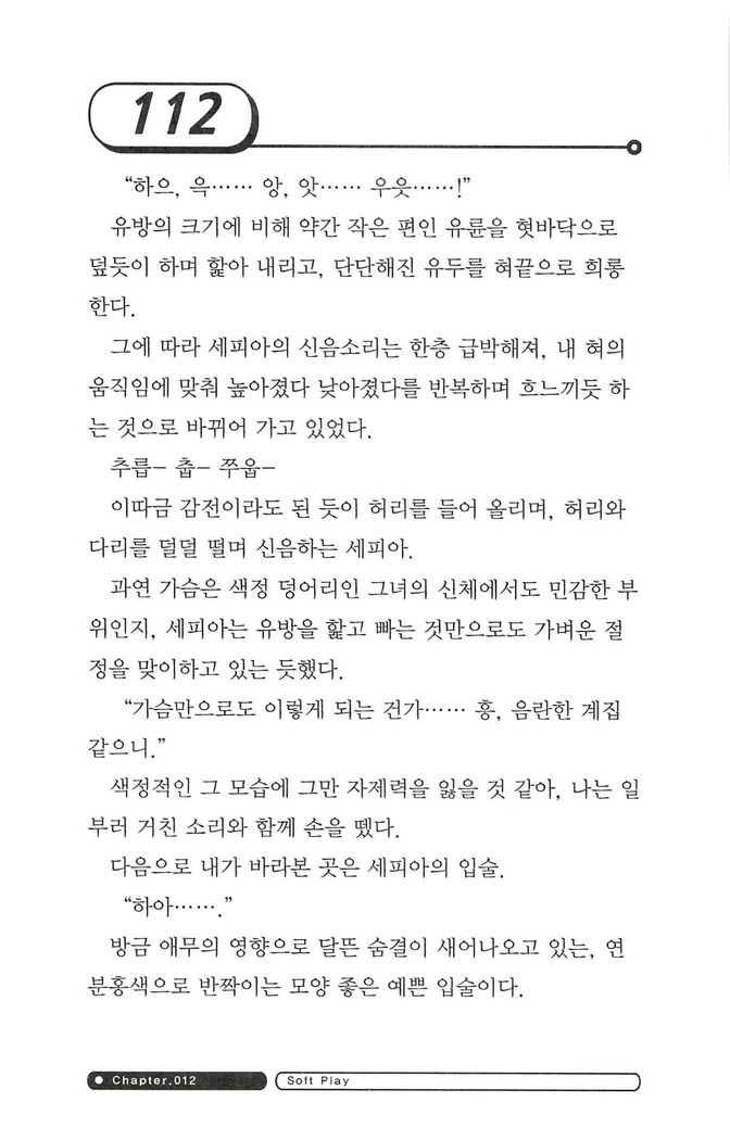 최면게임 - 타락하는 공주기사