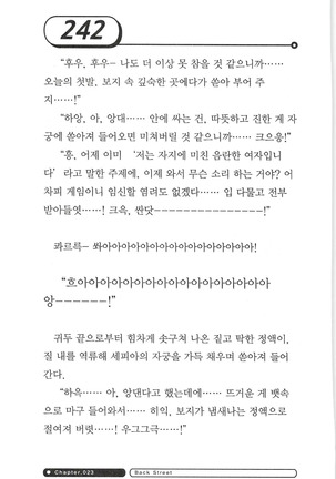 최면게임 - 타락하는 공주기사 - Page 246