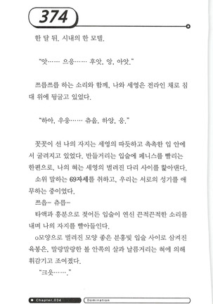 최면게임 - 타락하는 공주기사 Page #378