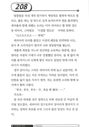 최면게임 - 타락하는 공주기사 - Page 212