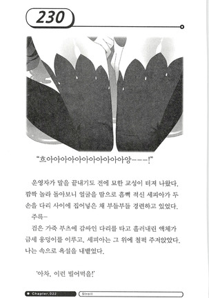 최면게임 - 타락하는 공주기사 - Page 234