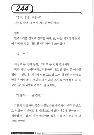 최면게임 - 타락하는 공주기사 Page #248