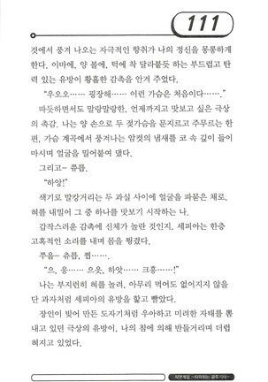 최면게임 - 타락하는 공주기사 Page #115