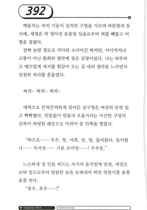 최면게임 - 타락하는 공주기사 - Page 396