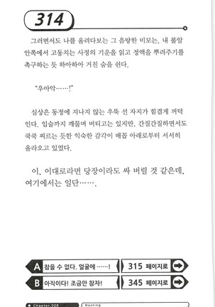 최면게임 - 타락하는 공주기사 - Page 318