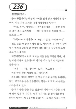 최면게임 - 타락하는 공주기사 - Page 240