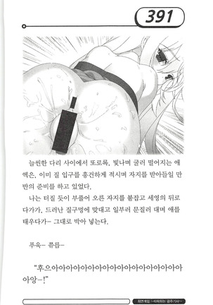 최면게임 - 타락하는 공주기사 Page #395