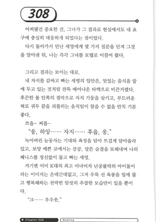 최면게임 - 타락하는 공주기사 - Page 312