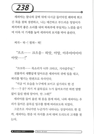 최면게임 - 타락하는 공주기사 Page #242